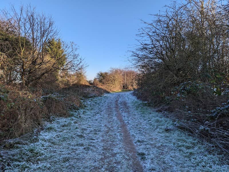 Dewberry Hill - Image 2