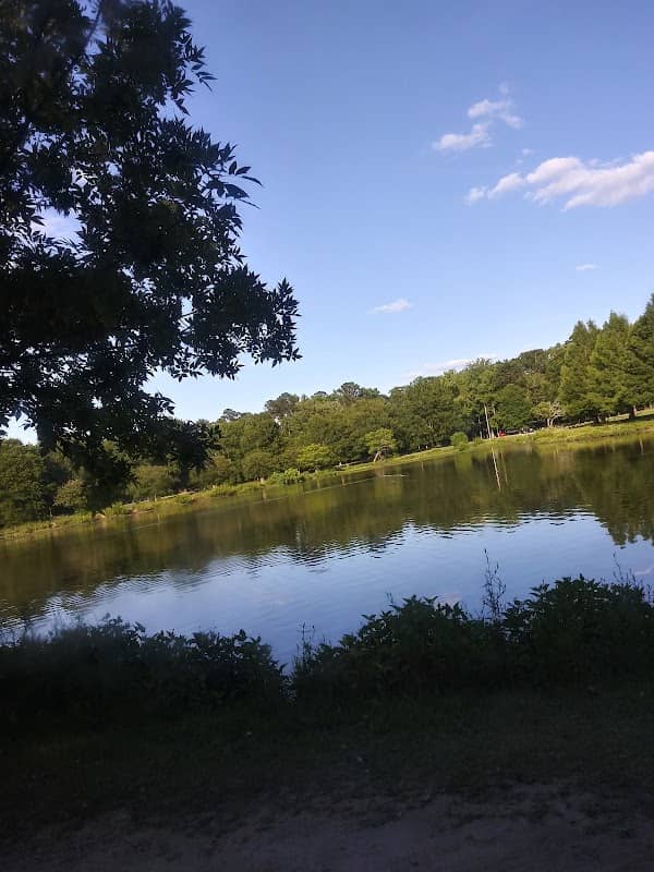 Cooper Creek Reservoir - Image 1