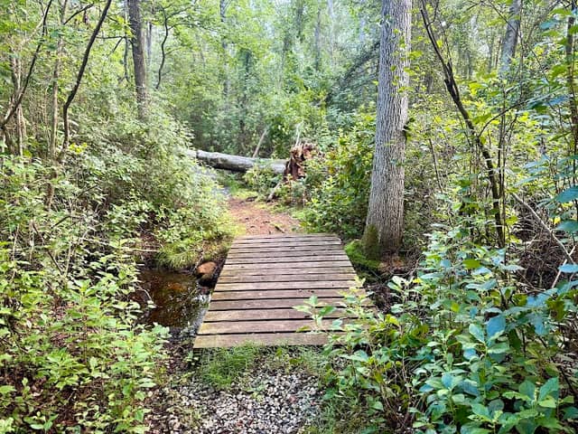 Willow Oak Natural Area - Image 1