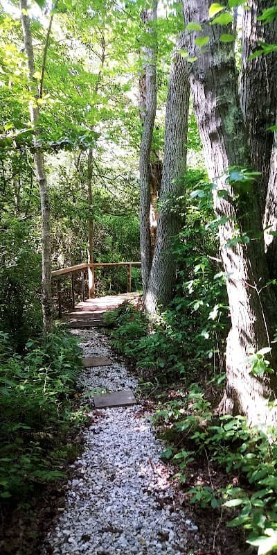 Willow Oak Natural Area - Image 2