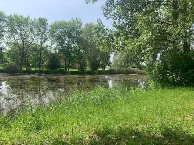 Reichelshofersee - Image 1