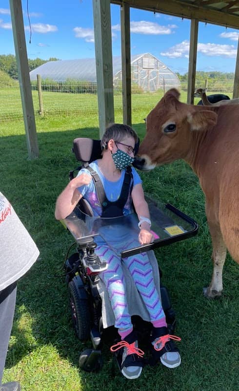 Downs On The Farm, Shawna Hodges - Image 1