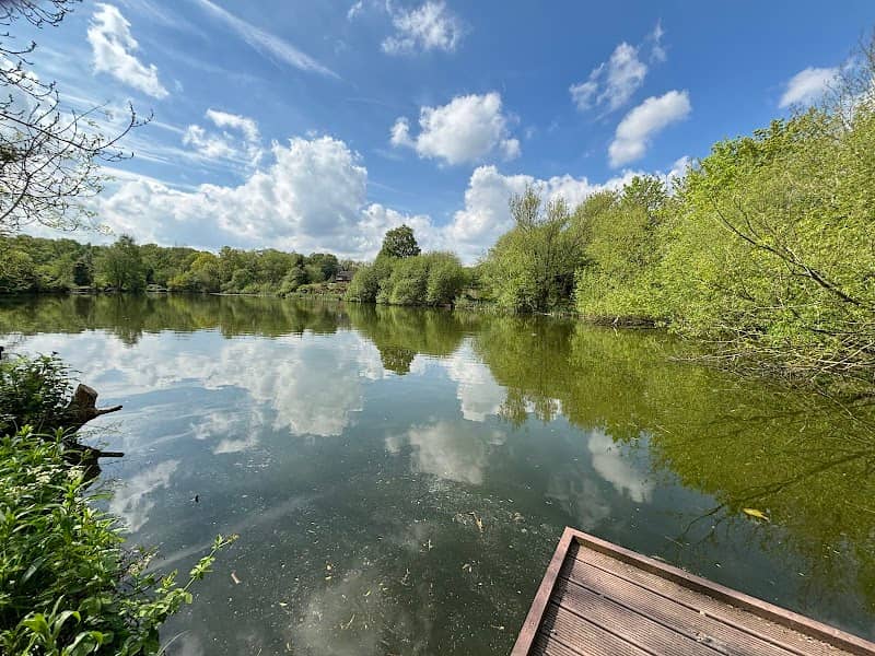 Castle Pool - Image 2