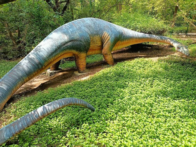 Kanpur Zoological Park - Image 1