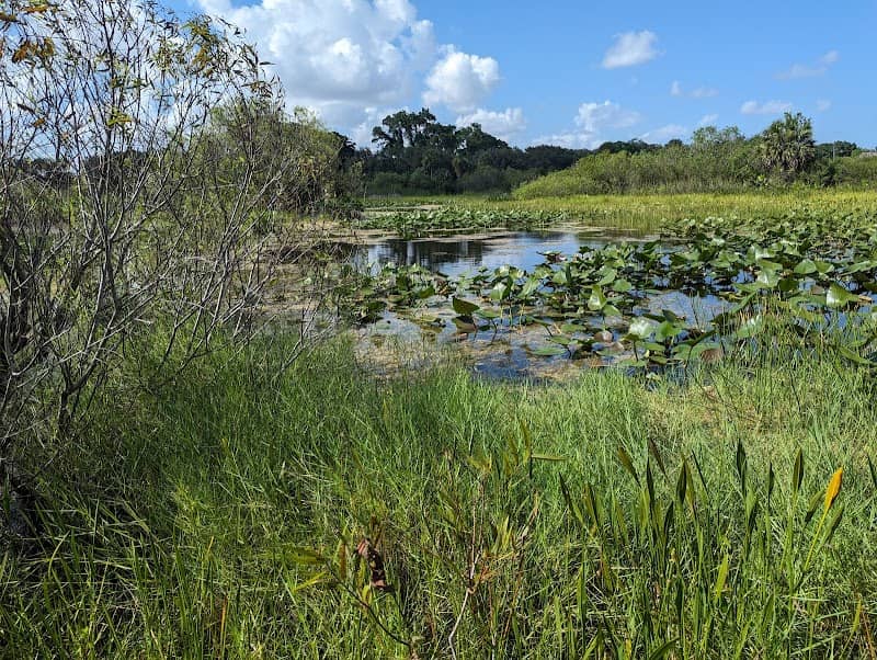 Snake Warrior's Island Natural Area - Image 1