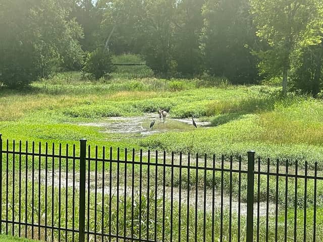 Prairie Creek Open Area - Image 1