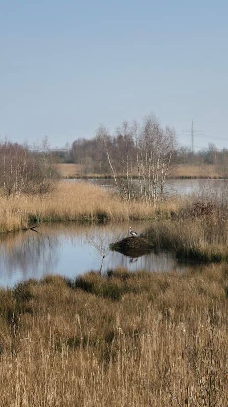 Aussichtsturm Sandwater - Image 1