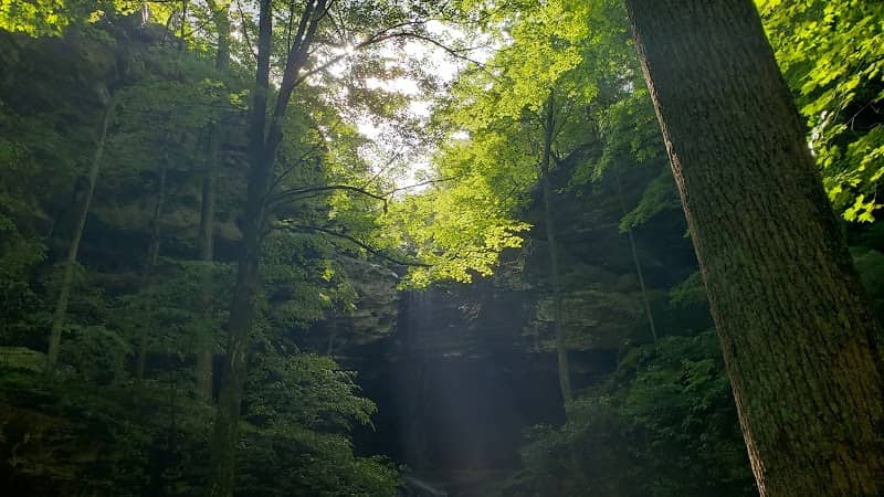Ferne Clyffe Waterfall - Image 2