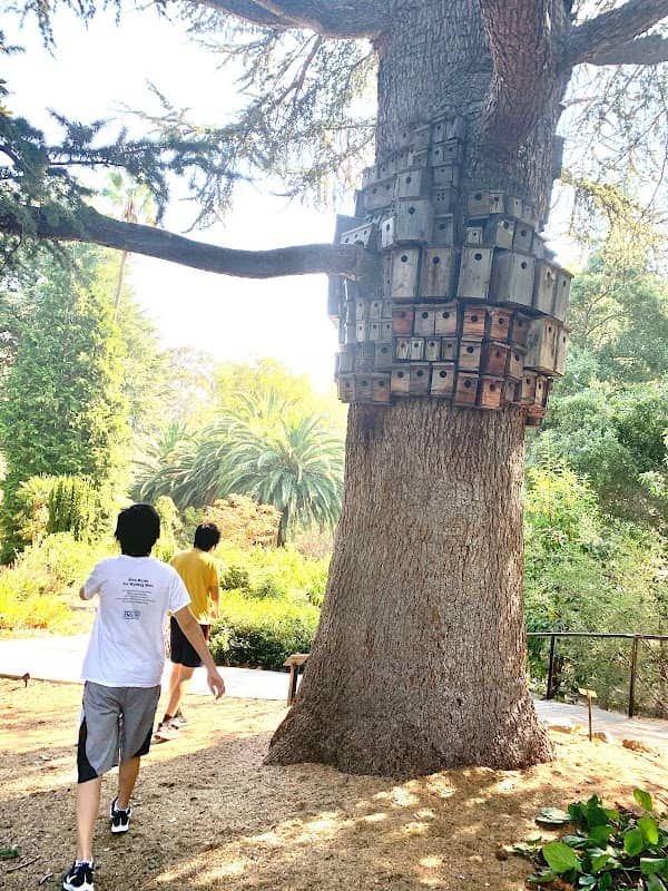 Montalvo Arts Center - Image 3