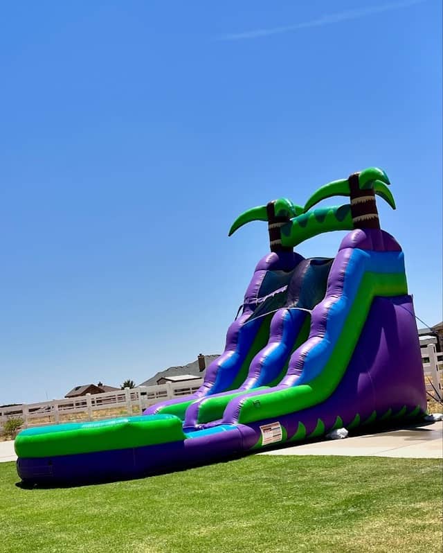 DM Party Rentals - Image 1
