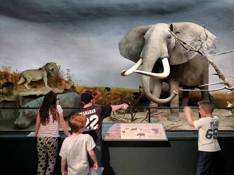 Museum of York County - Image 1
