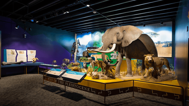 Museum of York County - Image 2