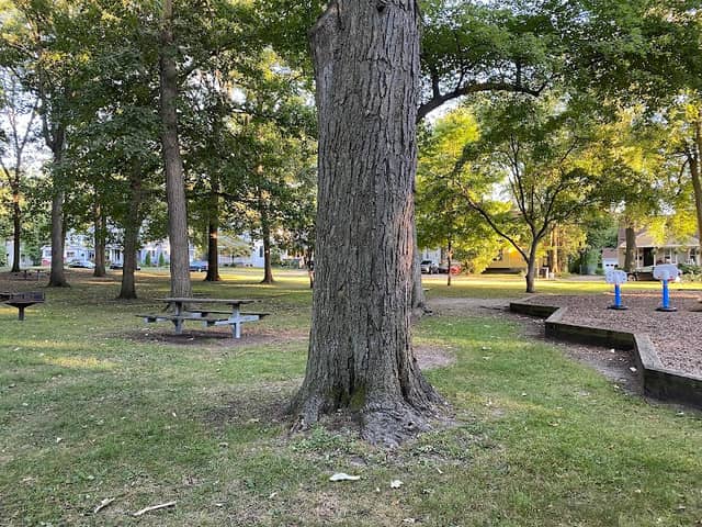 Meininger Park - Image 2