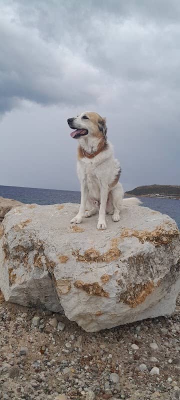 Yedi Kat Plajı - Image 3