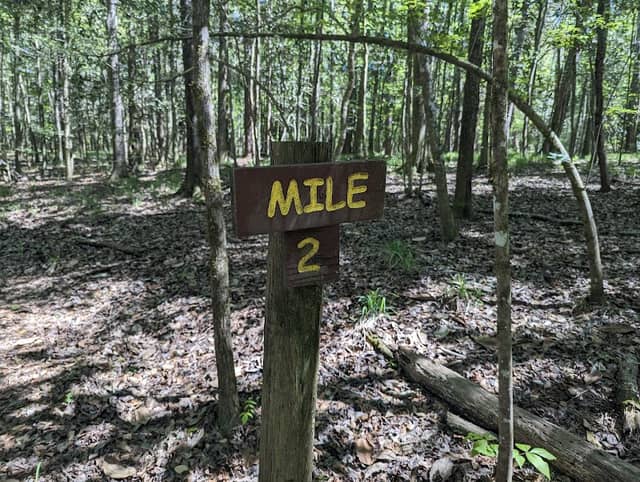 Lake Talquin State Forest – Fort Braden Trails - Image 1