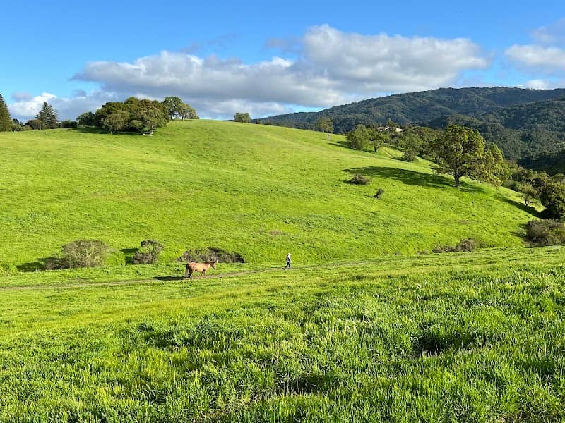 Byrne Preserve - Image 1