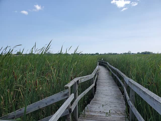 Woodland Dunes Nature Center & Preserve - Image 2