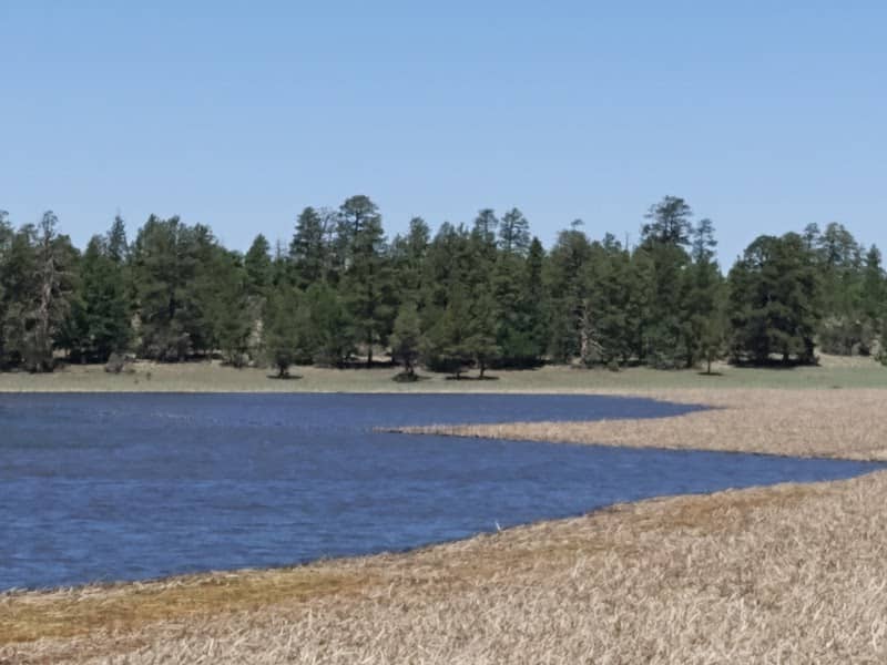 Big Fill Lake - Image 1