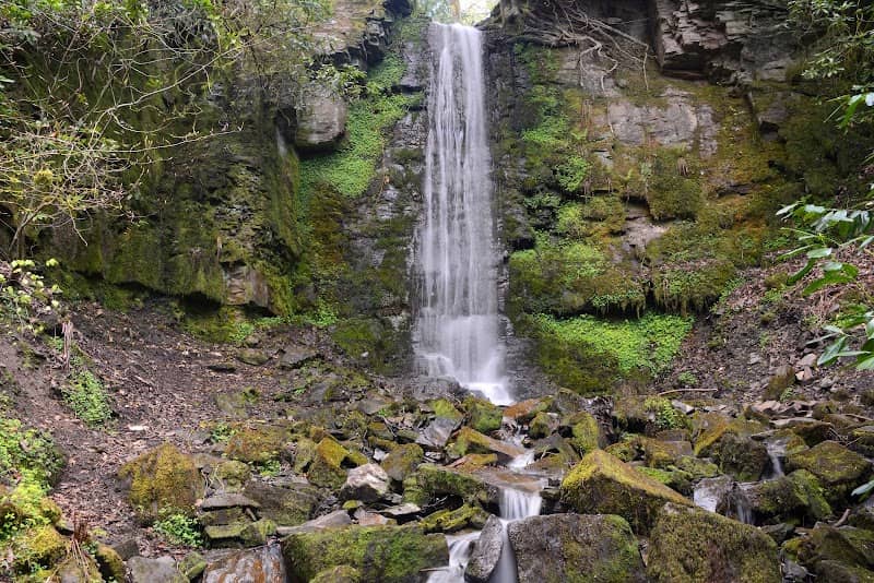 Bold Venture Park Waterfall - Image 1