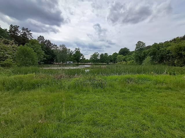 Naturschutzgebiet - Image 1