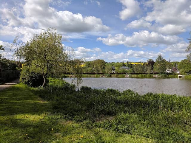 Henny-Teich - Image 1