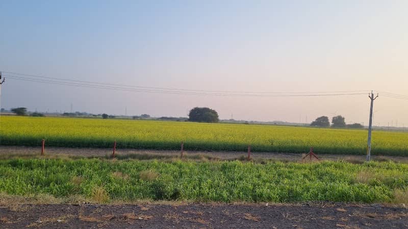 Madhav farm - Image 1