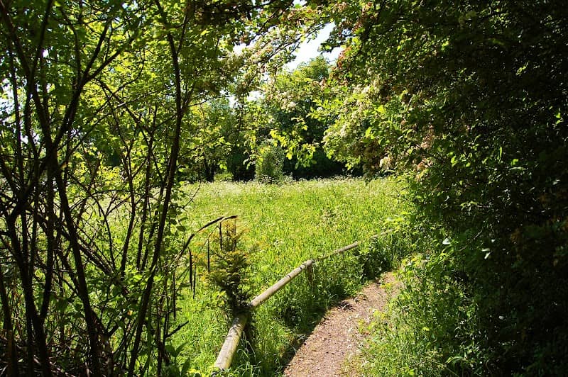 Hill Rise Local Nature Reserve - Image 1