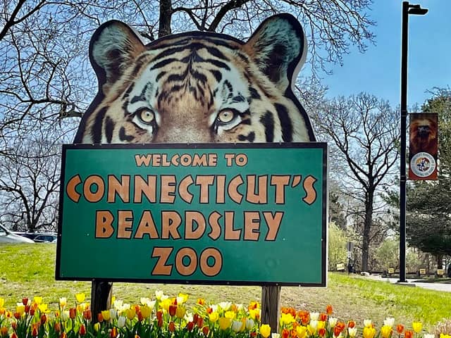 Connecticut's Beardsley Zoo - Image 1