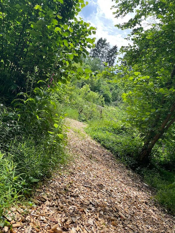 Biberlehrpfad - Image 1