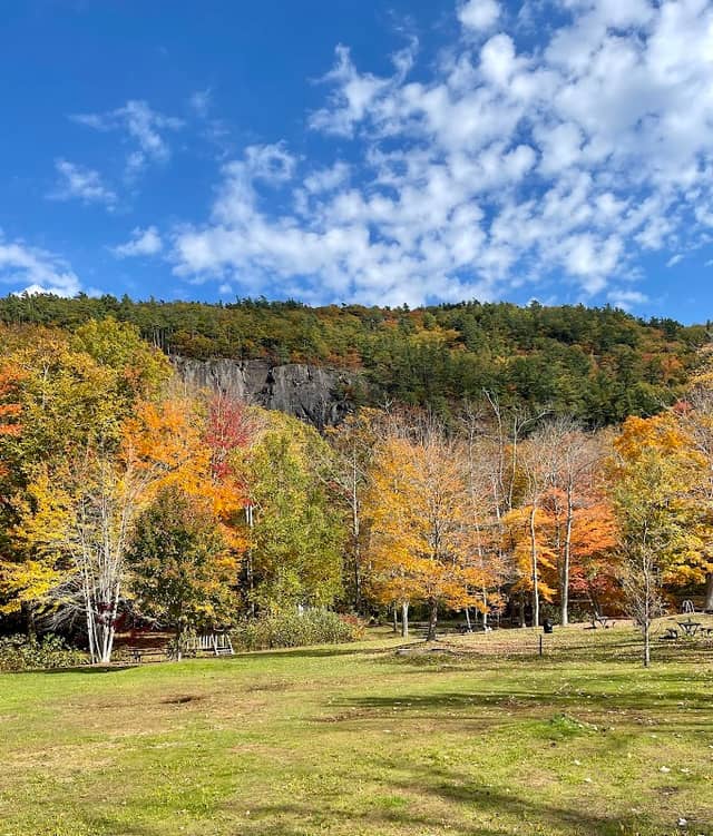 Barrett's Cove Public Beach - Image 3