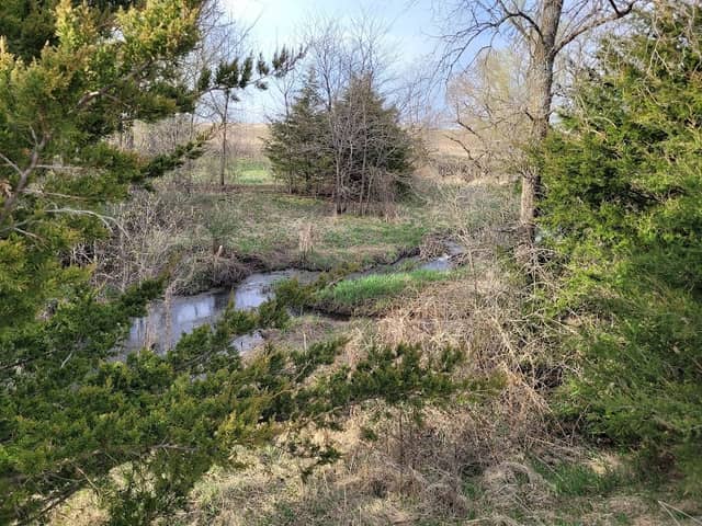 Twin Springs Natural Area - Image 2