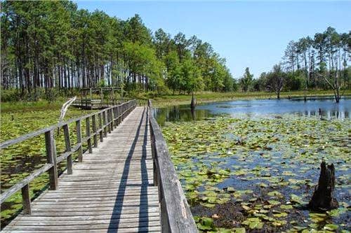 Seminole State Park - Image 2