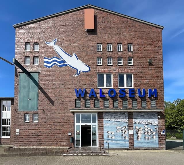 Waloseum - Image 1