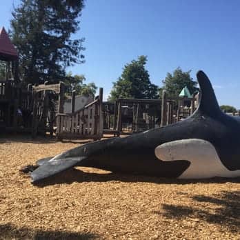 Blanche Reynolds Park - Image 2