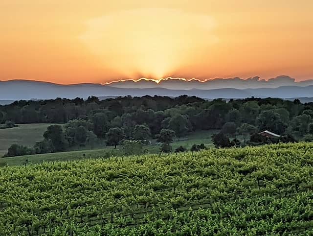 Barren Ridge Vineyards - Image 1