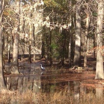Cooper Creek Park - Image 2