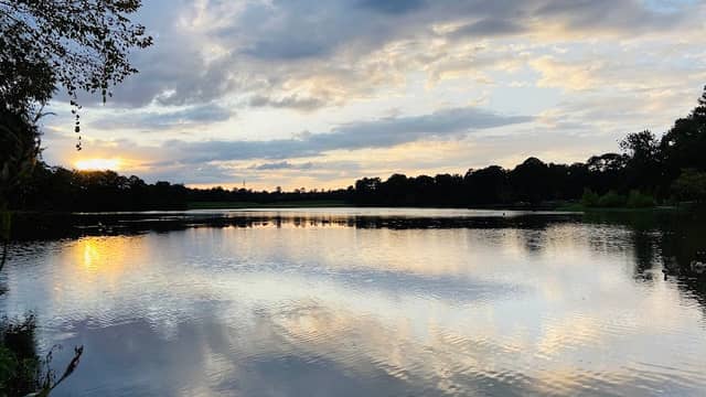 Cooper Creek Park - Image 1