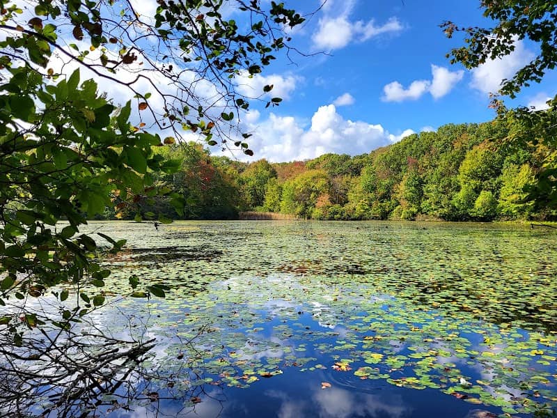 Lake Talaquega - Image 2