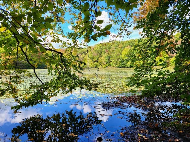 Lake Talaquega - Image 1
