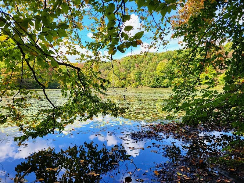 Lake Talaquega - Image 1