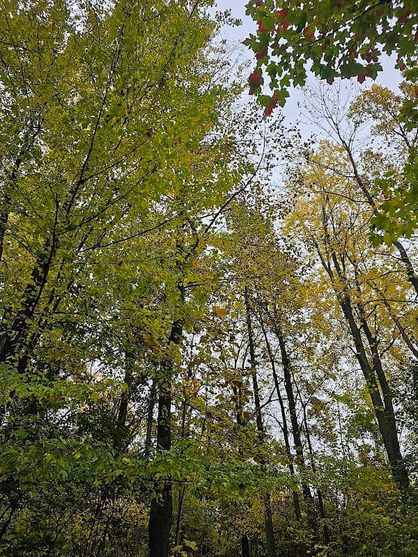 Granger Meadows Park Paved Trail - Image 1