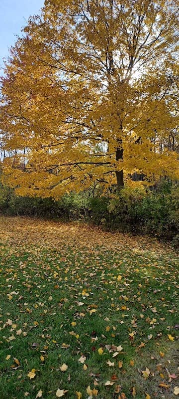 Granger Meadows Park Paved Trail - Image 2