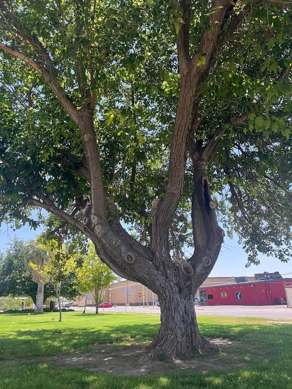 Garden Center Park - Image 1