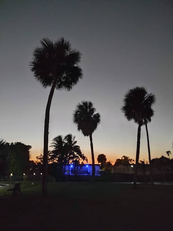 Bicentennial Park - Image 2