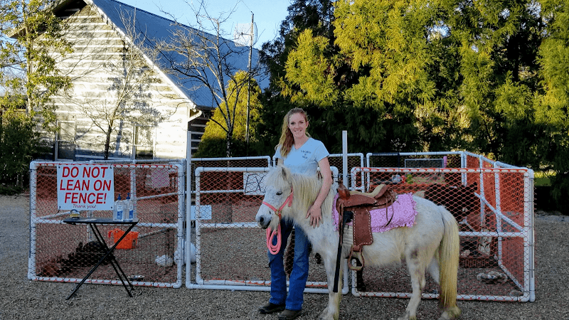 The Little Country Farm Mobile Petting Zoo - Image 1