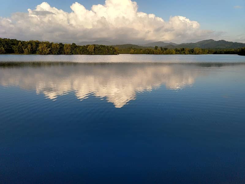 Vapholi Dam - Image 1
