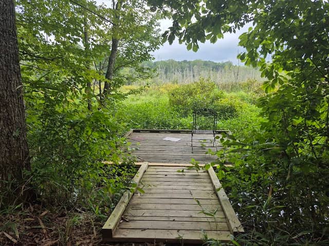 West Branch Nature Preserve Observation Platform - Image 1
