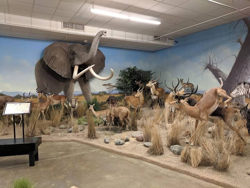 Northeastern Nevada Museum - Image 2