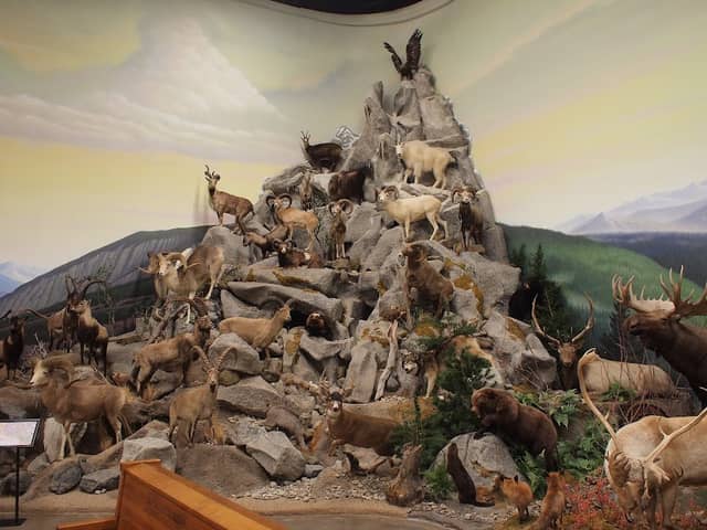 Northeastern Nevada Museum - Image 1