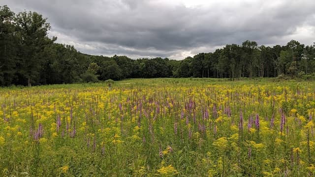 Jennings Environmental Education Center - Image 2